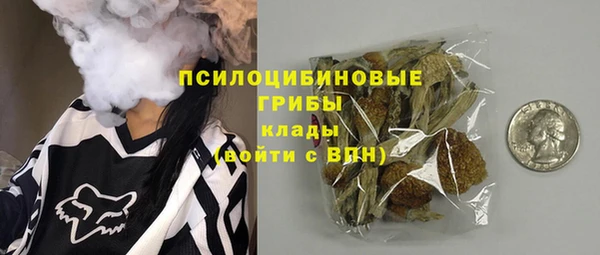 амф Тавда