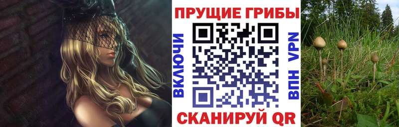 купить закладку  Красный Сулин  гидра ССЫЛКА  Псилоцибиновые грибы GOLDEN TEACHER 